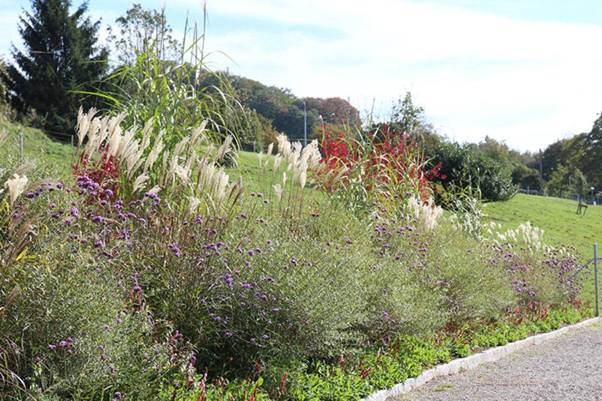 Gartengestaltung Obere Bläsistrasse