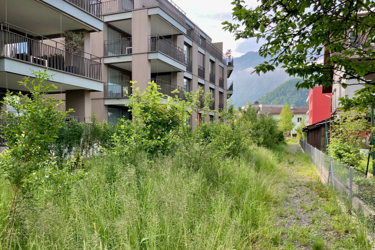 Freiraumgestaltung Wohnüberbauung Schürmatt